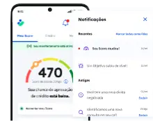 Tela de Score da Consumidor Positivo